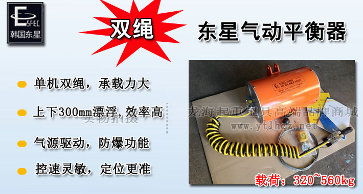 DONGSUNG雙繩氣動平衡器圖片介紹